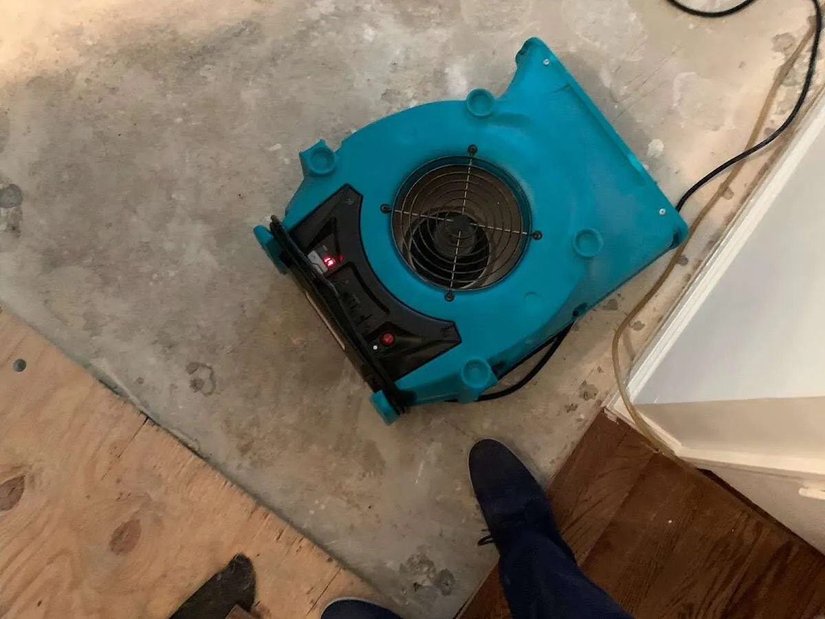 Air mover drying subfloor during Leak Detection & Repair in Bridgeport